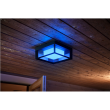 Philips Hue WCA Econic Outdoor Square Wall Lantern | 15 W | 2000-6500 Hue White Colour Ambiance