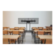 Neomounts Floor stand | ADM-875BL2 Dual screen adapter | Adjustable Height | 42-65 " | Maximum weigh