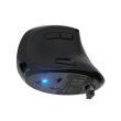 Natec | Vertical Mouse | Euphonie Pro | Wireless | Bluetooth