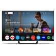 Sharp | 32HF3865E | 32 | Smart TV | Google TV