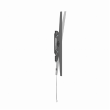 Gembird Wall mount | WM-75T-04 | Tilt | 37-75 " | Maximum weight (capacity) 75 kg | Black
