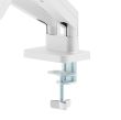 DISPLAY ACC MOUNTING ARM/DBL 17-32" MA-DA2-06-W GEMBIRD