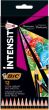 BIC Coloring pencils Intensity 12 colours 951844