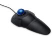 Ball manipulator Kensington Orbit Trackball with Scroll Ring
