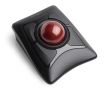 Ball manipulator Kensington Expert Wireless Trackball