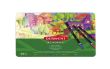 Derwent Academy Colouring Pencils 24 colours, Tin box