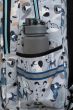 Backpack CoolPack Basic Plus Doggy