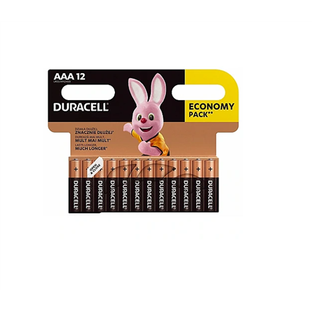 Duracell | Basic MN2400 BL12 | AAA