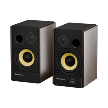 Arsen 502BT 60 W Bluetooth Wireless connection