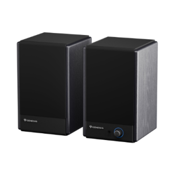 Arsen 402BT 60 W Bluetooth Wireless connection
