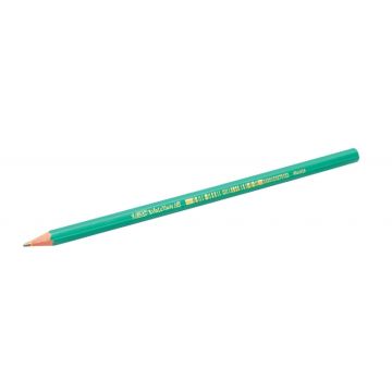BIC pencils EVOLUTION ORIGINAL HB, 1 pcs. 004608