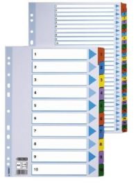Partition sheets Esselte Mylar, A4, numbers 1-31, colored, plastic 0807-113