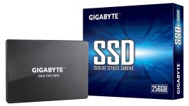 GIGABYTE 256GB SATA 3.0 Write speed 500 MBytes/sec