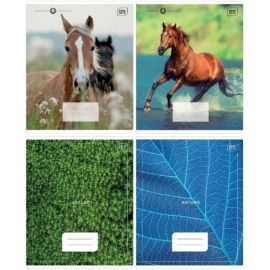 Notebook A5, 12l., line HORSES/MICRO INTERDRUK