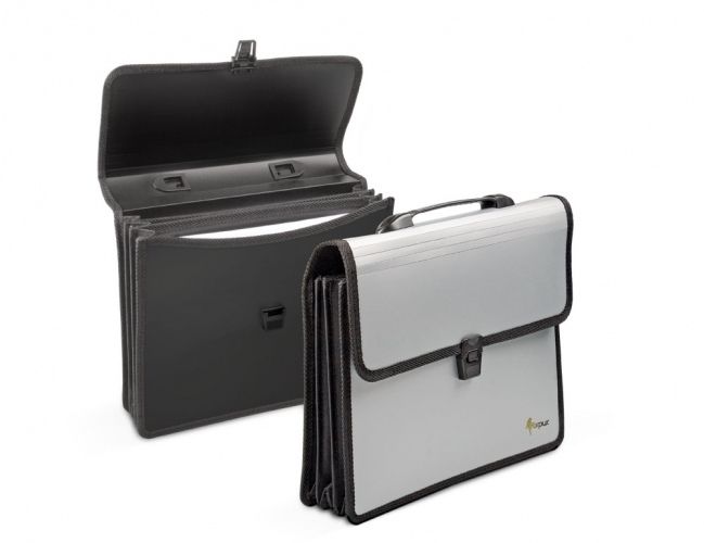 Folder-portfolio Forpus, A4, silver, 3 compartments