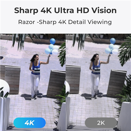 Reolink Smart 4K PoE Security Camera with 16X Optical Zoom P850 PTZ Micro SD – 2