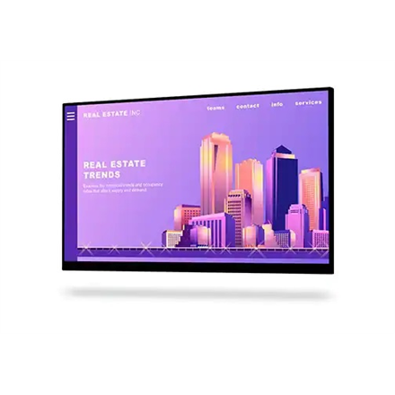 Dell LCD P2422H 23.8 "