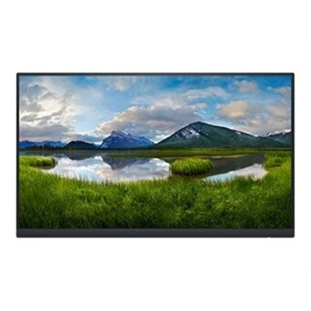 Dell LCD P2422HE 23.8 "