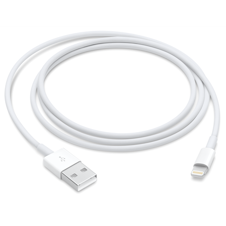 Apple Lightning to USB Cable (1m) | Apple