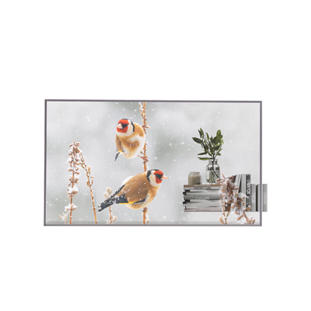 LG Digital Signage 55EW5P