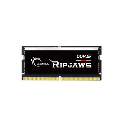 G.Skill Ripjaws 32 GB DDR5
